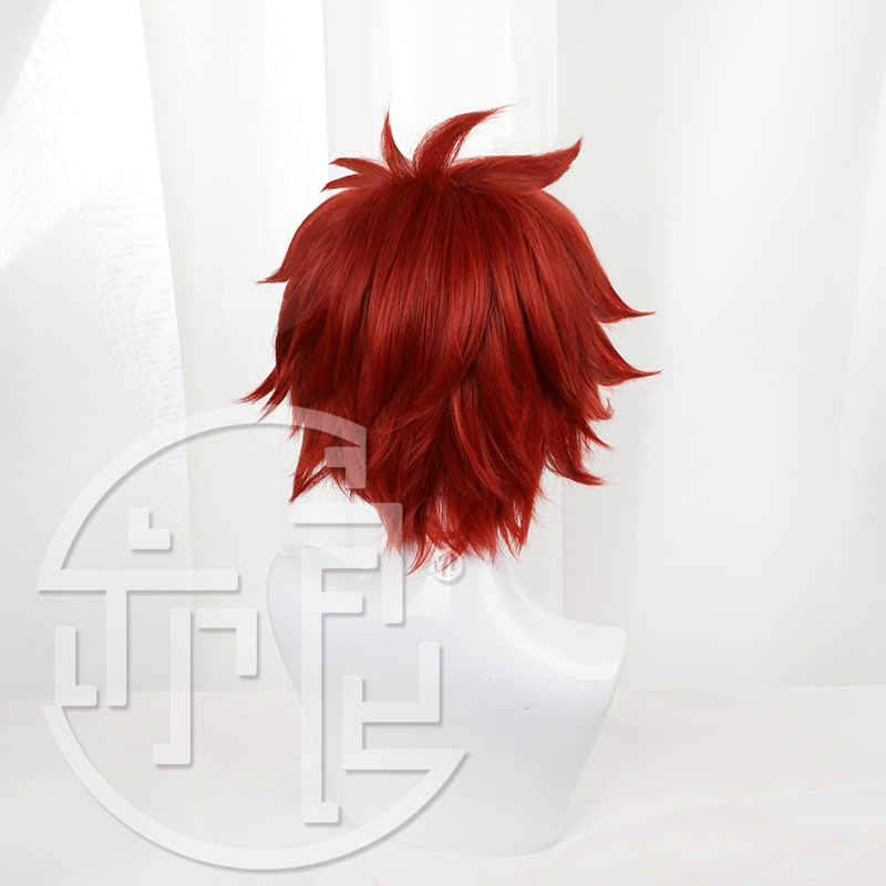Anime SK8 de Infinity Reki Cos - Anime Cosplay Red Hair recensie en prijs